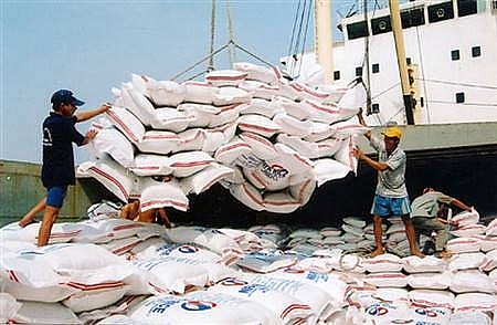 undefined Ngành gạo Việt Nam đối mặt “áp lực kép”: giá lúa giảm sâu, doanh nghiệp thiếu vốn vì chậm hoàn thuế