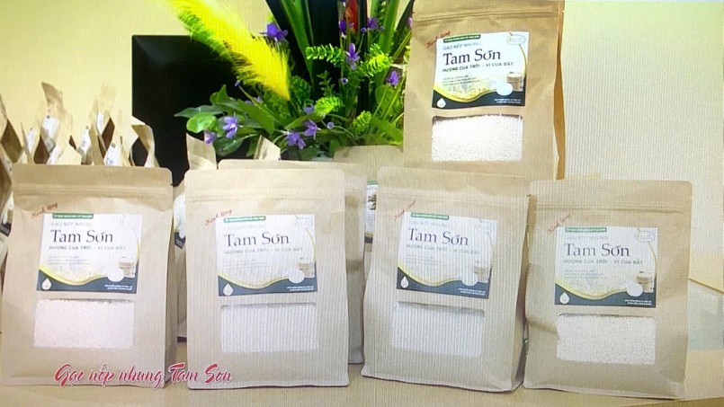 Gạo nếp nhung Tam Sơn: Hạt ngọc trời của vùng Kinh Bắc Gạo nếp nhung Tam Sơn: Hạt ngọc trời của vùng Kinh Bắc