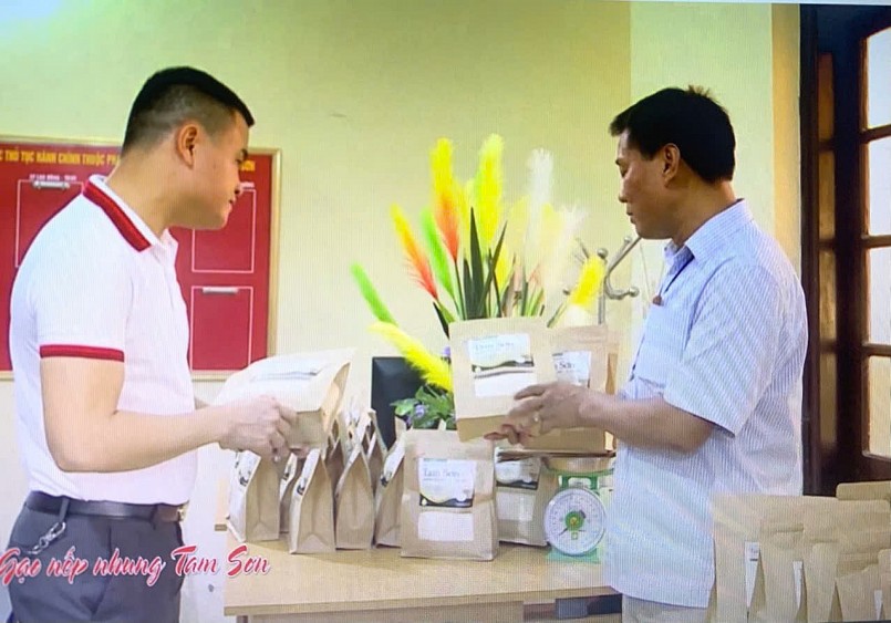 Gạo nếp nhung Tam Sơn: Hạt ngọc trời của vùng Kinh Bắc Gạo nếp nhung Tam Sơn: Hạt ngọc trời của vùng Kinh Bắc