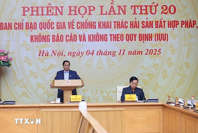 Thủ tướng Phạm Minh Chính chỉ đạo quyết liệt chống khai thác IUU, tăng cường quản lý tàu cá