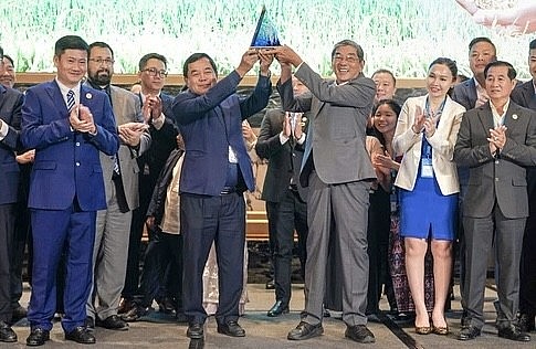 ST25 – Hạt gạo nhỏ, niềm tự hào lớn của Việt Nam