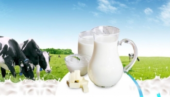 Ngành sữa Việt Nam đẩy mạnh tự chủ nguyên liệu, mở rộng dư địa thị trường đến 2045
