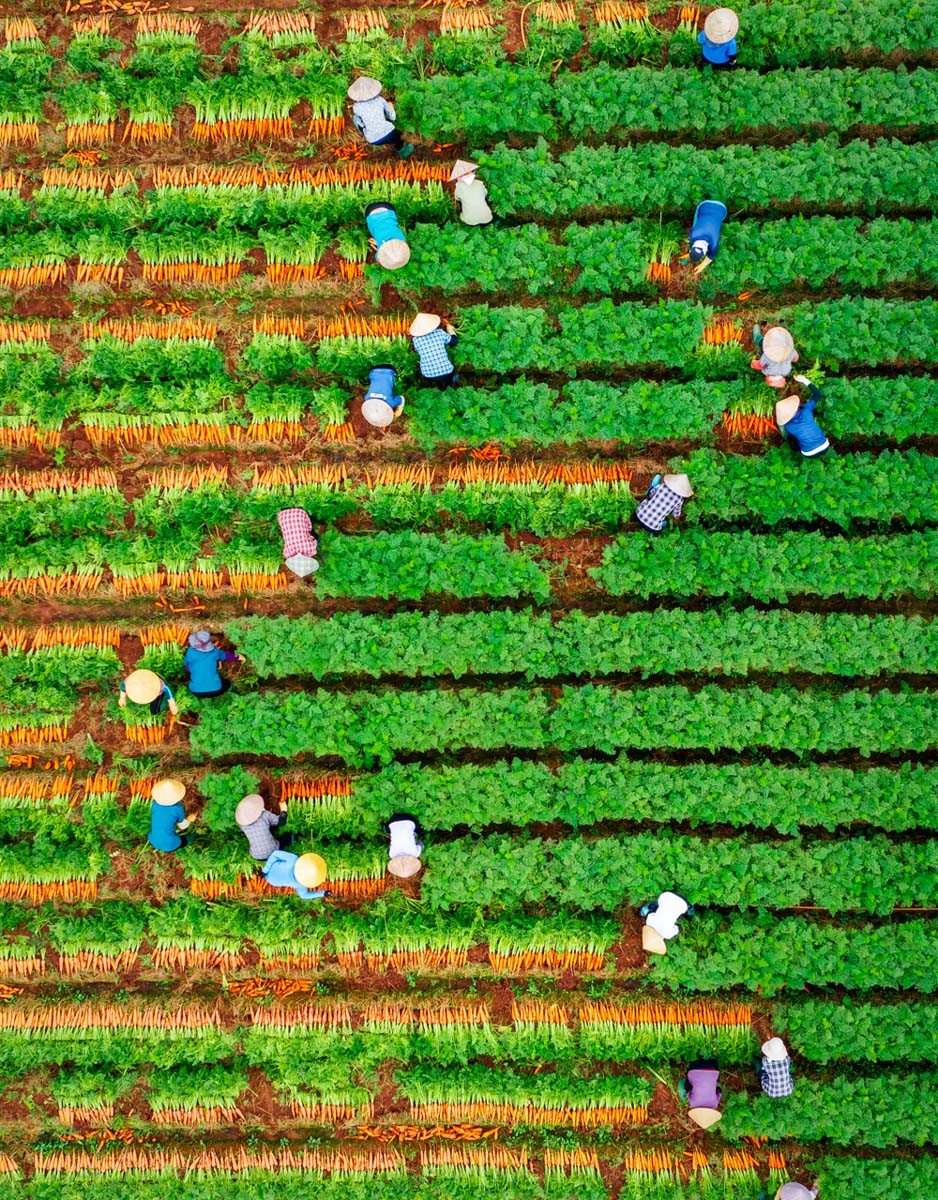 Bắc Ninh hiện thực hóa phát triển bao trùm, bền vững: phấn đấu đến hết năm 2027, toàn tỉnh không còn hộ nghèo Bắc Ninh hiện thực hóa phát triển bao trùm, bền vững: phấn đấu đến hết năm 2027, toàn tỉnh không còn hộ nghèo