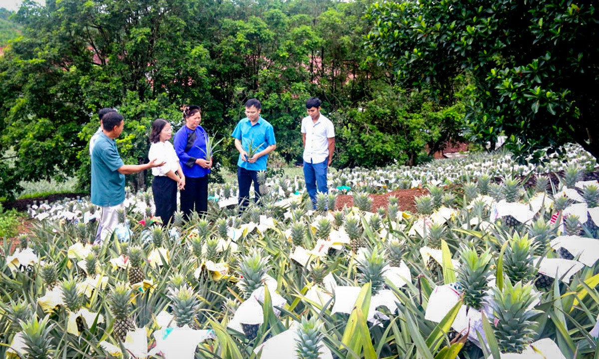 Bắc Ninh: Vốn, tri thức và công nghệ – “chìa khóa” giúp sinh kế hộ nghèo bền vững Bắc Ninh: Vốn, tri thức và công nghệ – “chìa khóa” giúp sinh kế hộ nghèo bền vững