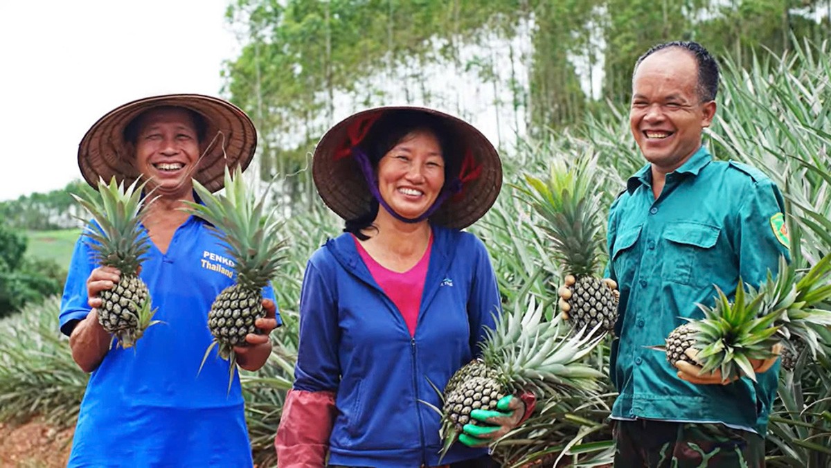 Bắc Ninh: Vốn, tri thức và công nghệ – “chìa khóa” giúp sinh kế hộ nghèo bền vững Bắc Ninh: Vốn, tri thức và công nghệ – “chìa khóa” giúp sinh kế hộ nghèo bền vững