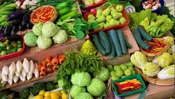 Giá rau xanh lập đỉnh mới