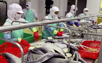 Việt Nam thúc đẩy thủy sản xanh hướng tới hội nhập bền vững