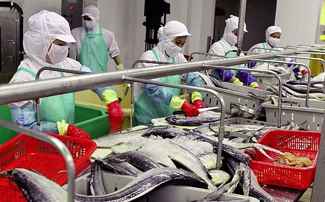 Việt Nam thúc đẩy thủy sản xanh hướng tới hội nhập bền vững Việt Nam thúc đẩy thủy sản xanh hướng tới hội nhập bền vững