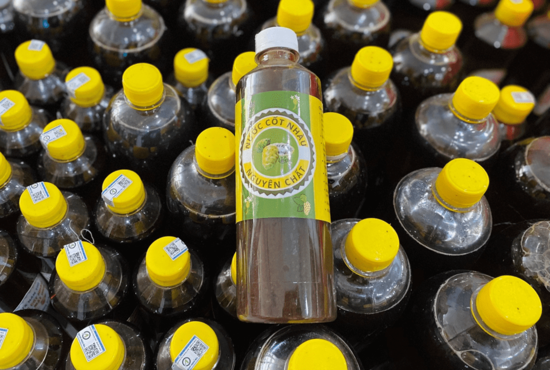 Nhiều tiềm năng phát triển kinh tế từ các sản phẩm quả nhàu ở xứ Kinh Bắc