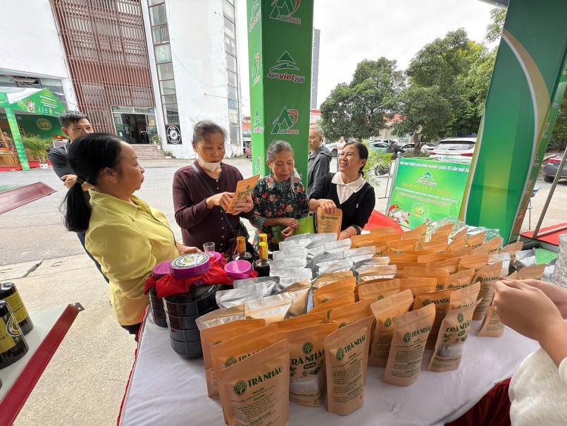 Nhiều tiềm năng phát triển kinh tế từ các sản phẩm quả nhàu ở xứ Kinh Bắc