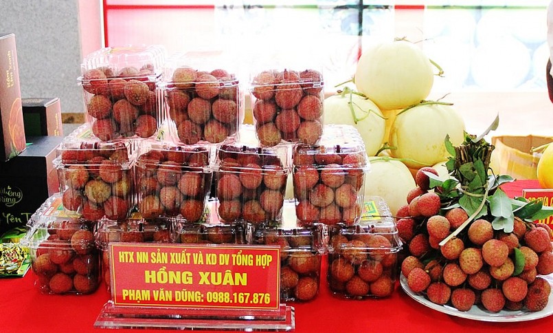 OCOP Bắc Ninh: Cầu nối văn hóa – du lịch