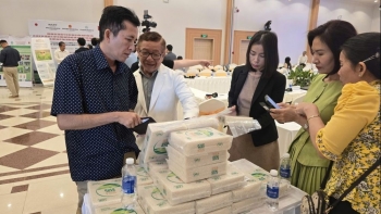 Từ công nghệ Nhật Bản đến hạt gạo xanh: hành trình nâng tầm lúa gạo Việt