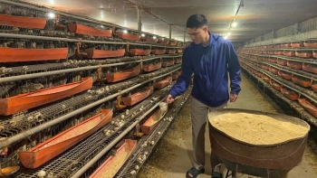 Khởi nghiệp từ hai bàn tay trắng, chàng trai trẻ đổi đời nhờ con “mắn đẻ”