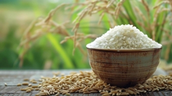 Philippines nhập khẩu gạo trở lại năm 2026: Cơ hội và thách thức cho doanh nghiệp Việt