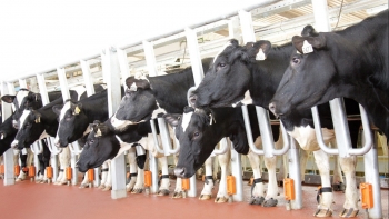 Từ cách mạng sữa tươi sạch đến khát vọng vì tầm vóc Việt: Hành trình Anh hùng Lao động của TH