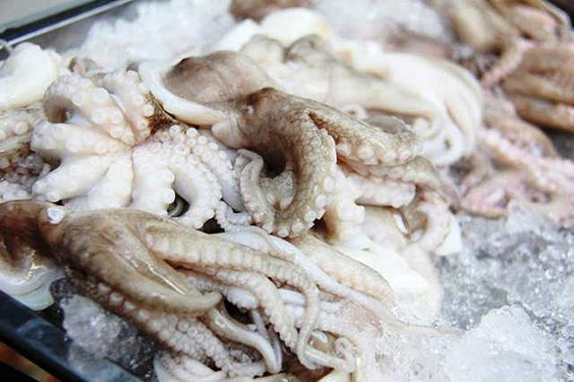 Xuất khẩu mực, bạch tuộc tăng 35% trong quý I/2022