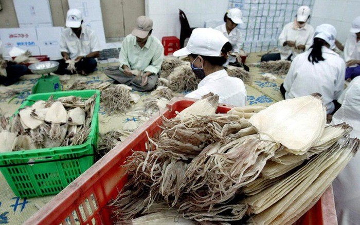 Xuất khẩu mực, bạch tuộc tăng 35% trong quý I/2022