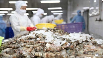 Xuất khẩu thủy sản sang Úc đạt hơn 128 triệu USD