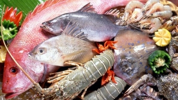 Xuất khẩu hải sản đạt gần 1,7 tỷ USD trong 5 tháng đầu năm 2022