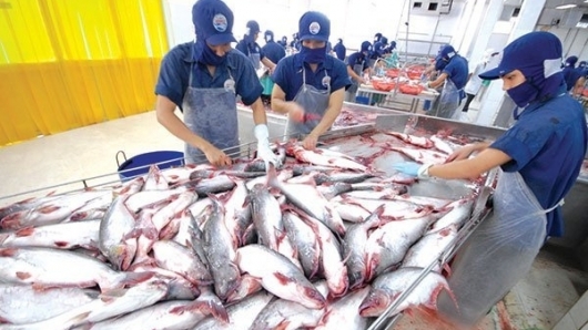 Thủy sản Việt Nam nỗ lực vượt khó trước đại dịch Covid-19