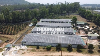 Hà Tĩnh: Kỳ lạ dự án trồng cây dược liệu… biến thành dự án điện năng lượng mặt trời?