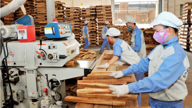Cụ thể hóa các quy định của Luật lâm nghiệp trong Đề án phát triển ngành công nghiệp chế biến gỗ