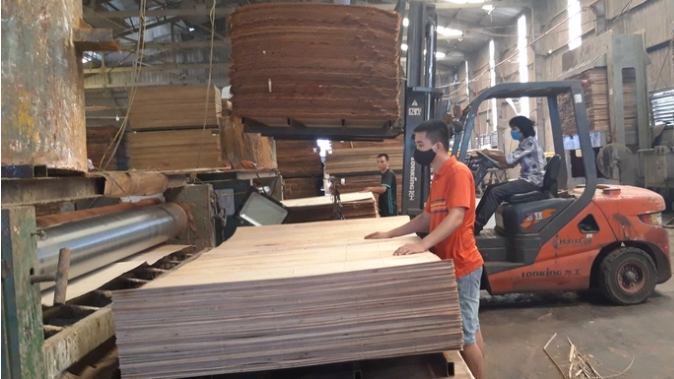 Hoa Kỳ gia hạn thời gian kết luận điều tra phòng vệ thương mại gỗ dán cứng