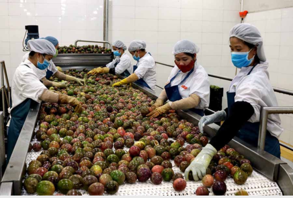 Nhiều cơ hội đưa hàng nông sản, thực phẩm Việt Nam thâm nhập thị trường Ba Lan