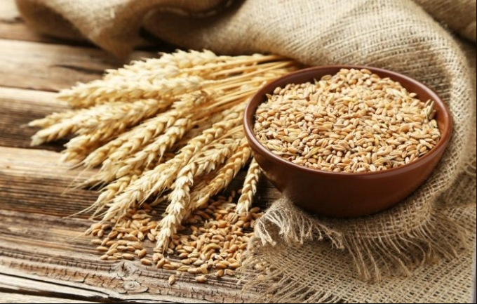 Việt Nam nhập khẩu trên 1,55 triệu tấn lúa mì trong 4 tháng