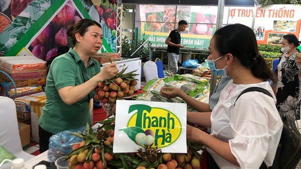 30 doanh nghiệp tham gia Tuần hàng trái cây, nông sản tại Hà Nội