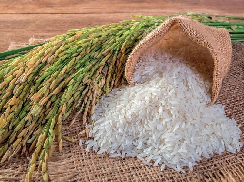 Giá gạo hôm nay 2/6: Tiếp tục giảm