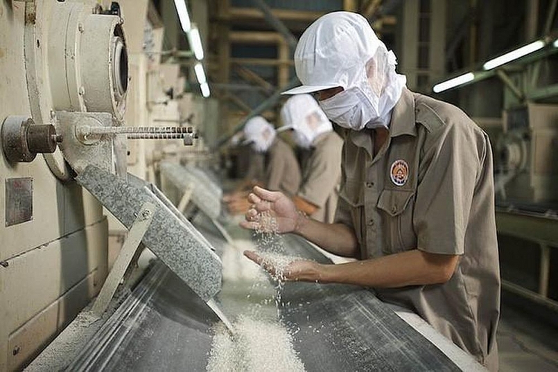 Xuất khẩu gạo sang Bangladesh tăng mạnh với gần 500%