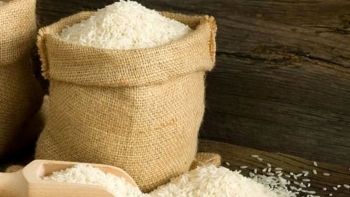 EU phân bổ hạn ngạch thuế quan cho gạo Việt Nam theo Hiệp định EVFTA