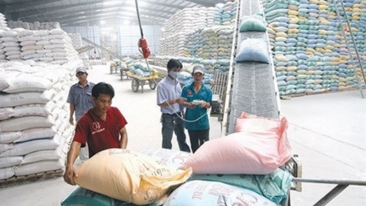 Philippines giảm thuế nhập khẩu gạo: Cơ hội và thách thức cho xuất khẩu gạo Việt