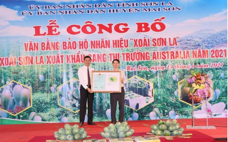 Phó Chủ tịch UBND tỉnh Sơn La Nguyễn Thành Công chuyển trao Chứng nhận văn bằng bảo hộ nhãn hiệu Xoài Sơn La.