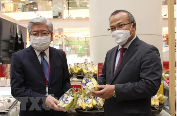 Ông Soichi Okazaki (trái), Ủy viên Ban Điều hành AEON phụ trách khu vực ASEAN và Đại sứ Vũ Hồng Nam giới thiệu quả chuối Việt Nam với các phóng viên Nhật Bản. (Ảnh: Đào THanh Tùng/TTXVN).