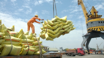 Xuất khẩu gạo sang thị trường Philippines tăng mạnh