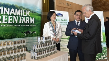 Vinamilk Green Farm – Một dấu ấn rõ nét của ngành sữa việt nam hành trình phát triển bền vững