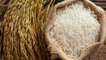 Giá gạo hôm nay 2/7: Ổn định