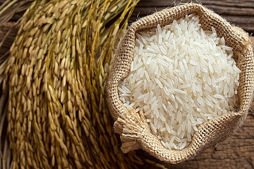 Giá gạo hôm nay 2/7: Ổn định