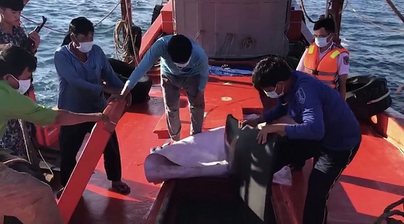 Cảnh sát biển bắt giữ tàu vận chuyển khoảng 70.000 lít dầu DO nhập lậu