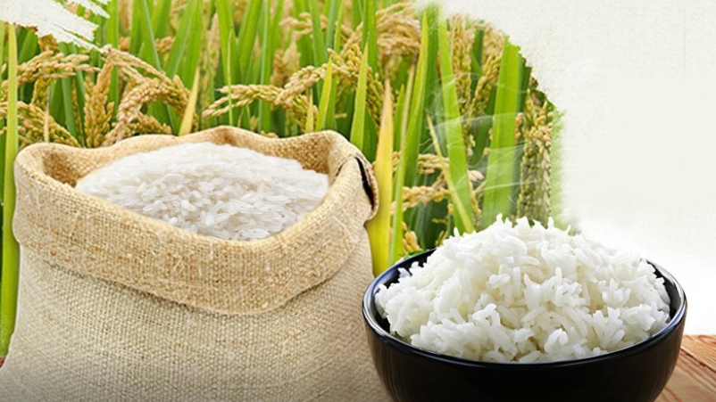 Giá gạo hôm nay 15/7: Tăng nhẹ