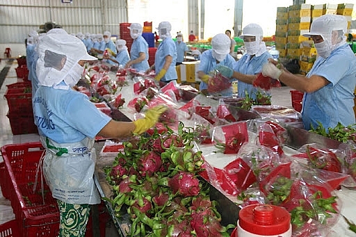 Cánh cửa tiếp cận thị trường Anh cho doanh nghiệp xuất khẩu nông sản Việt