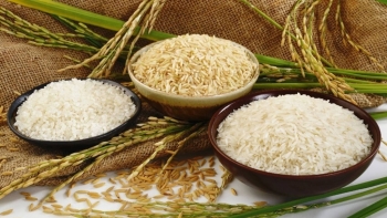 Giá gạo hôm nay 24/7: Xu hướng tăng