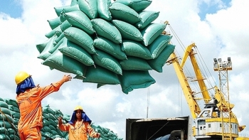 Giá gạo Việt Nam vượt Thái Lan và Ấn Độ trong tháng 6