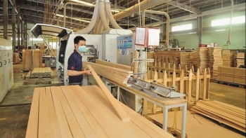 Bộ Tài chính: Chưa điều chỉnh tăng thuế xuất khẩu gỗ dán
