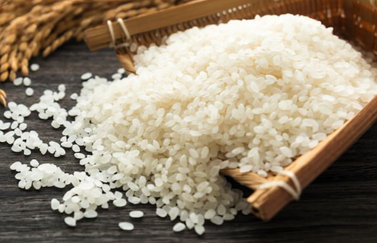 Doanh nghiệp Na Uy cần mua gạo Japonica Việt Nam