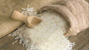 Giá gạo hôm nay 16/8: Tăng giảm trái chiều