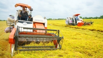 Bộ Công Thương kiến nghị mở “luồng xanh” vận tải đường thủy để tiêu thụ lúa gạo ở các tỉnh ĐBSCL