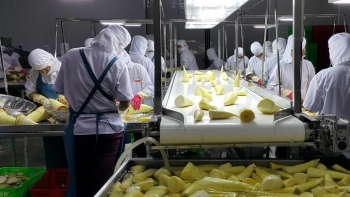 Xuất khẩu rau quả sang Trung Quốc tiếp tục khởi sắc